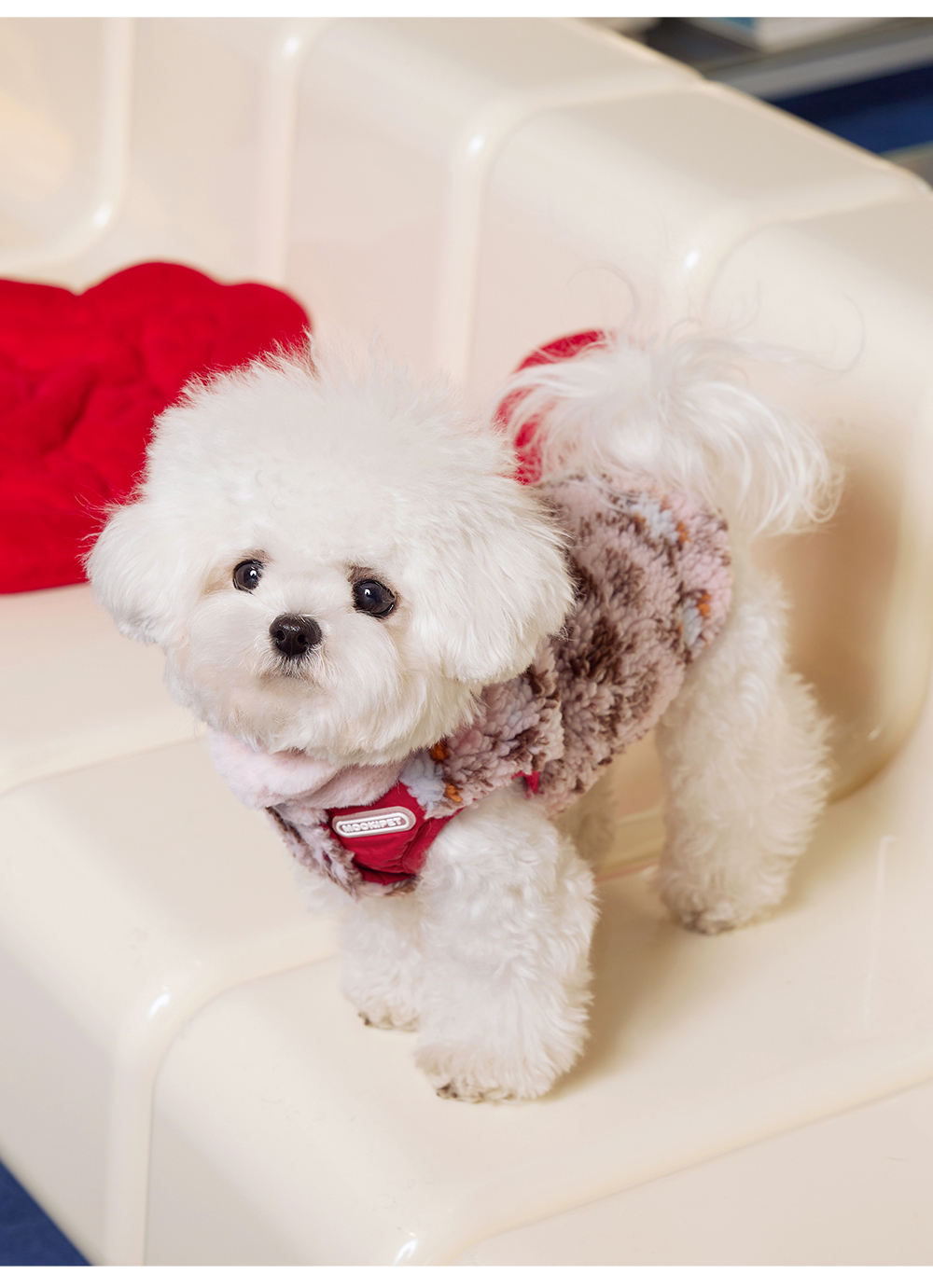 image_00ED695E-8983-4BE9-966A-375F27A7149C_1767842296