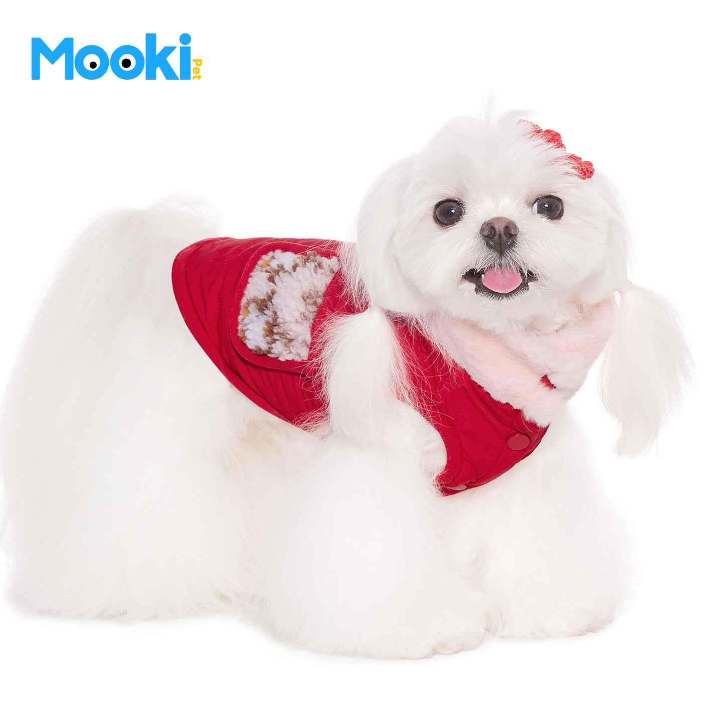 image_589BCB24-CC6E-47F5-86B3-9163D1071F5F_1767842296