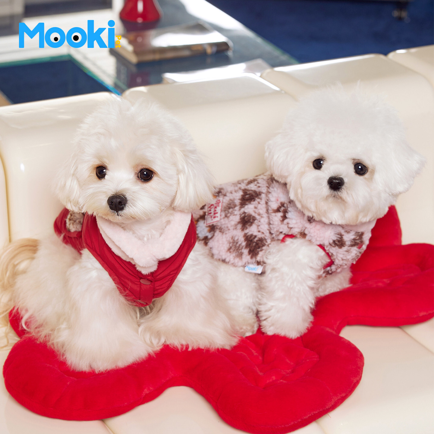 image_8BD20C8B-E996-4F03-881E-E85A236FBBBD_1767842296