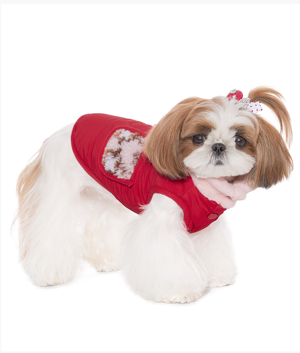 image_DAD05D87-1979-4C83-A739-16DD29133403_1767842296