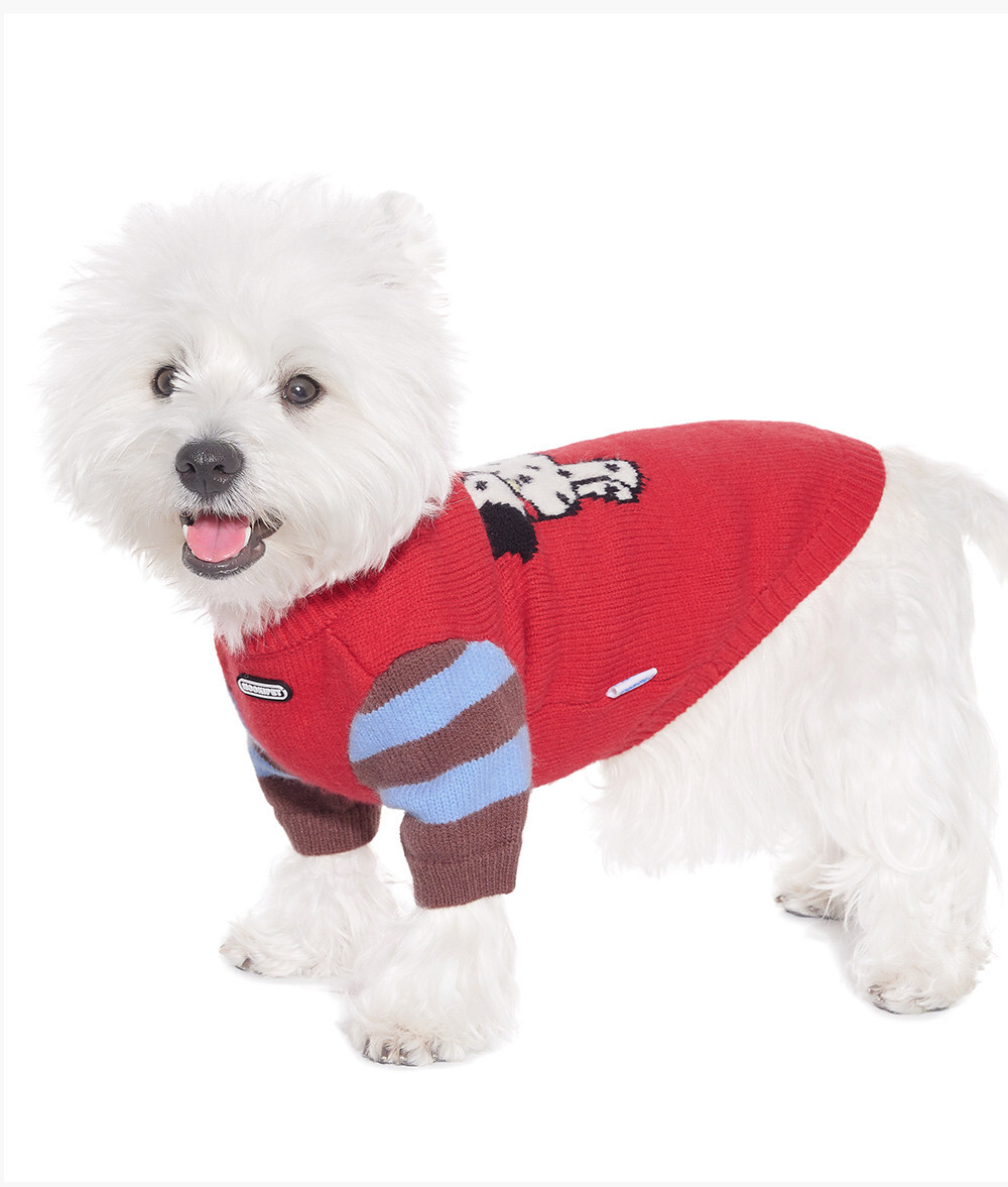 image_376083C6-0F69-4C6A-B178-660B609DC607_1769185518