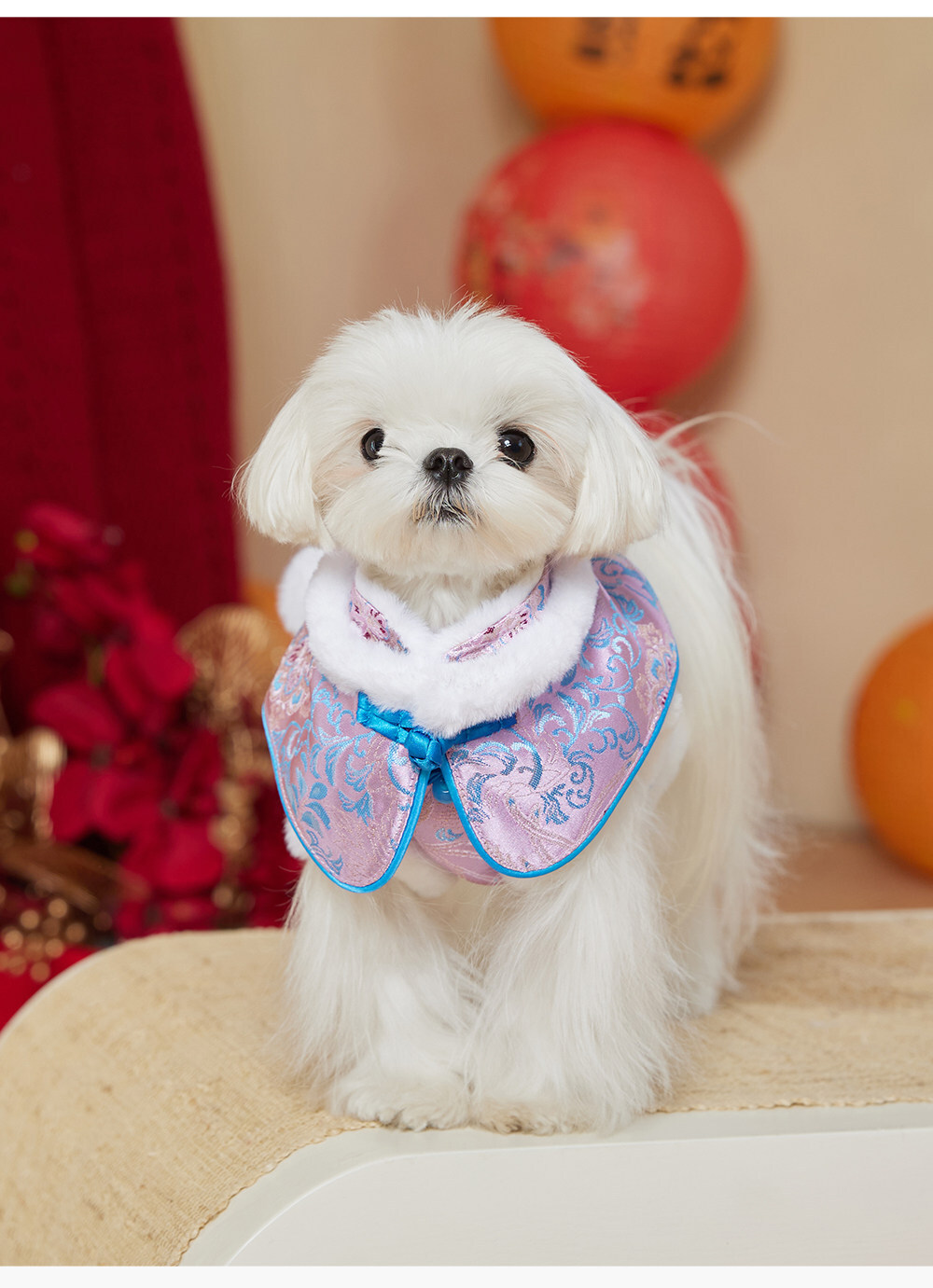 image_98B93516-F756-4650-A491-6D2853B9F2BF_1769265817