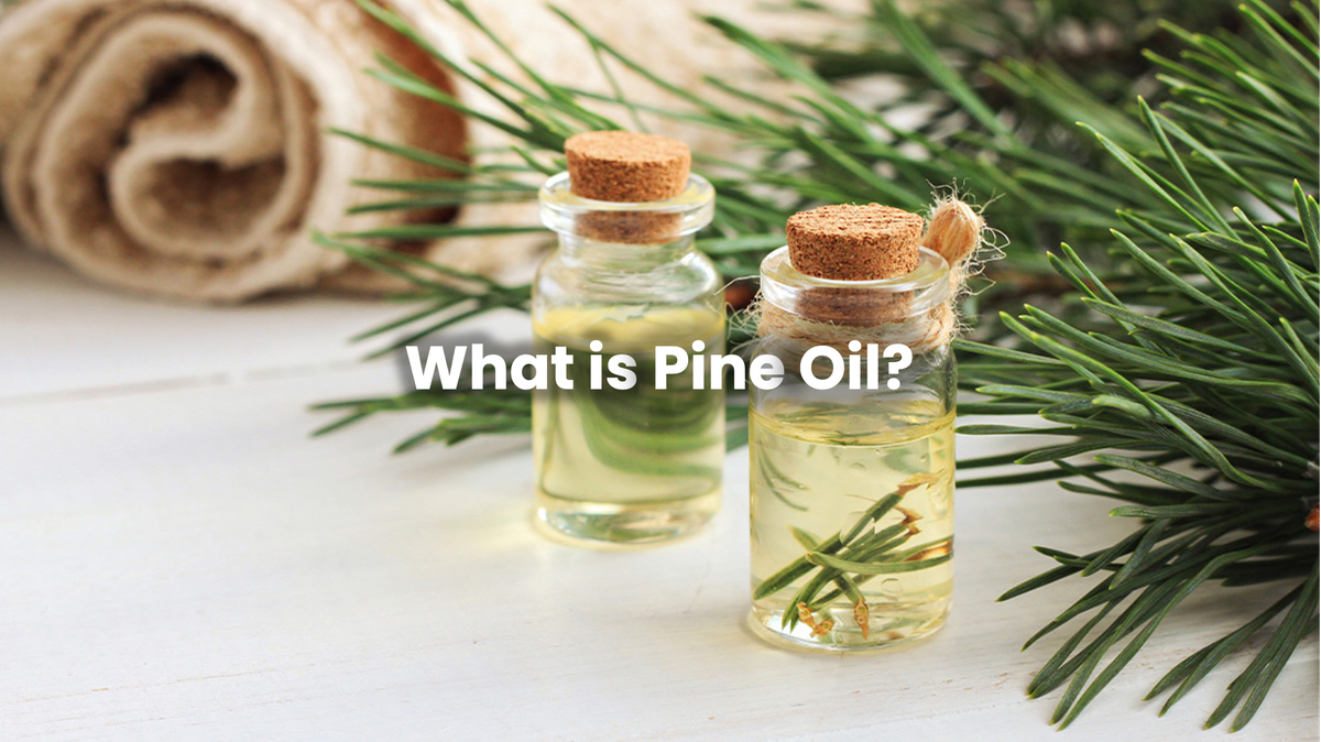 What is Pine Oil?