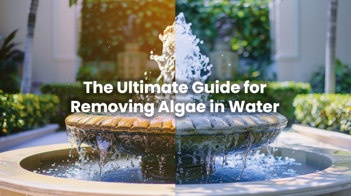 The Ultimate Guide for Removing Algae in Water with Benzalkonium Chloride