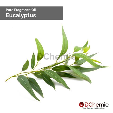 Page 2 v02 - Eucalyptus