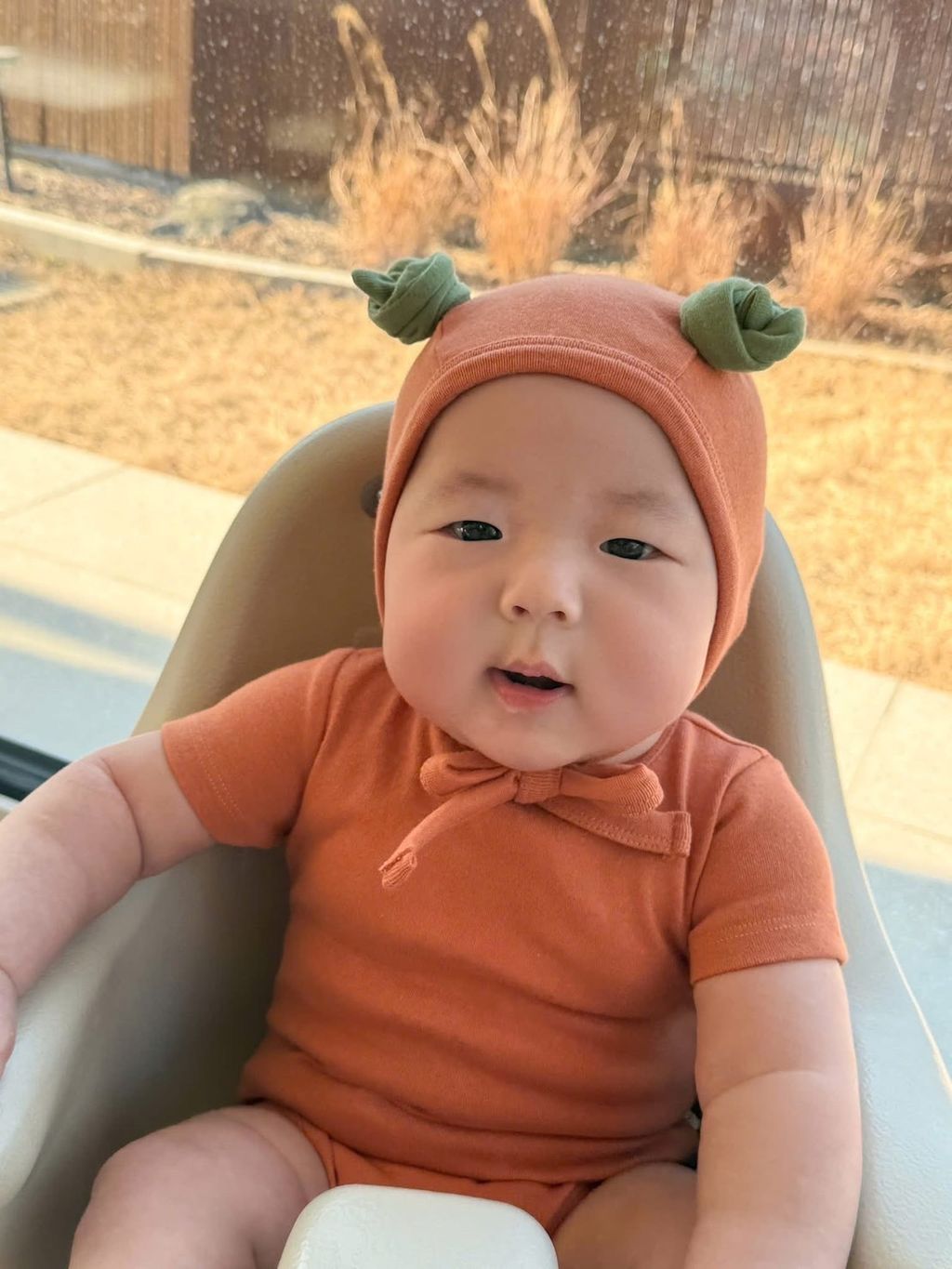 image_2A0723EF-A007-4E1C-9911-8F56ACE8A95D_1772891221