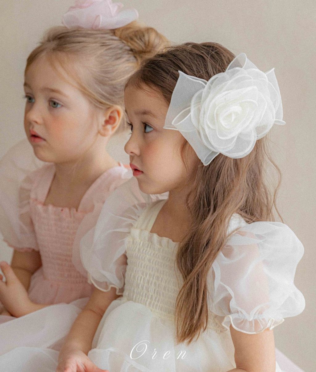 image_4290836E-5329-4591-9B54-0A367025AC77_1775275611