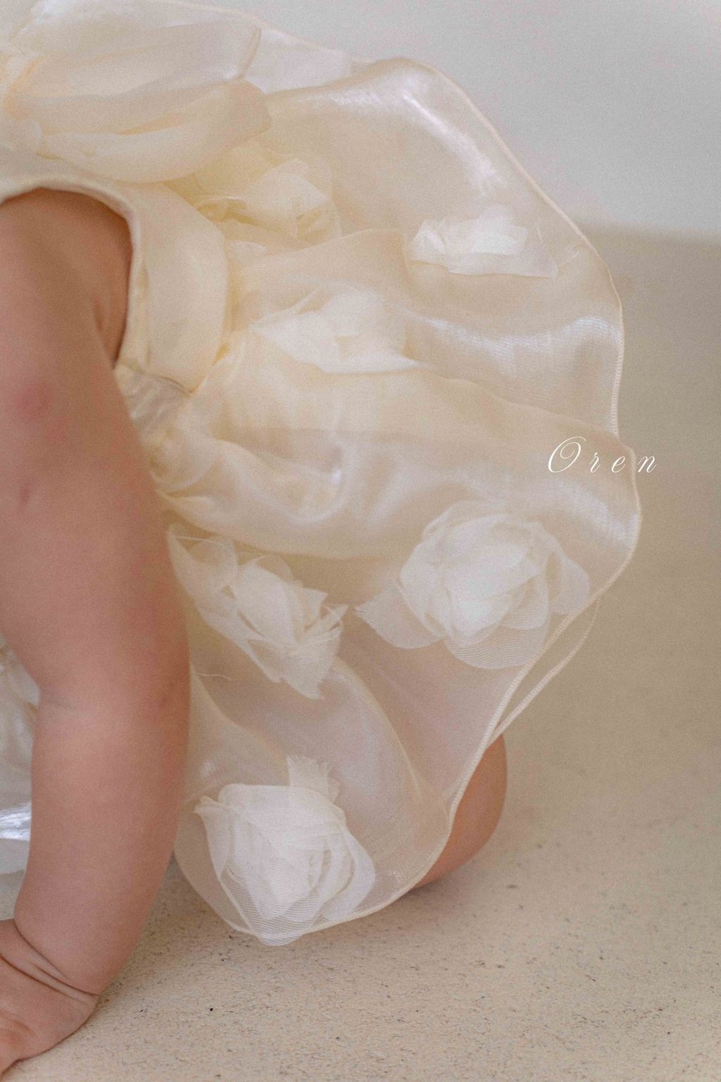 image_89D291AA-4FCC-418B-B057-46F91AC146B4_1775275880