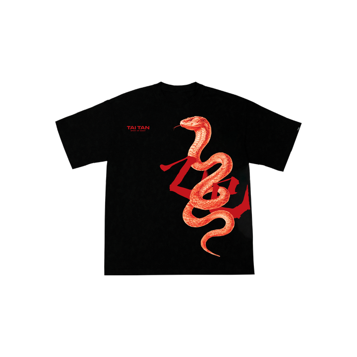 己巳snake-05