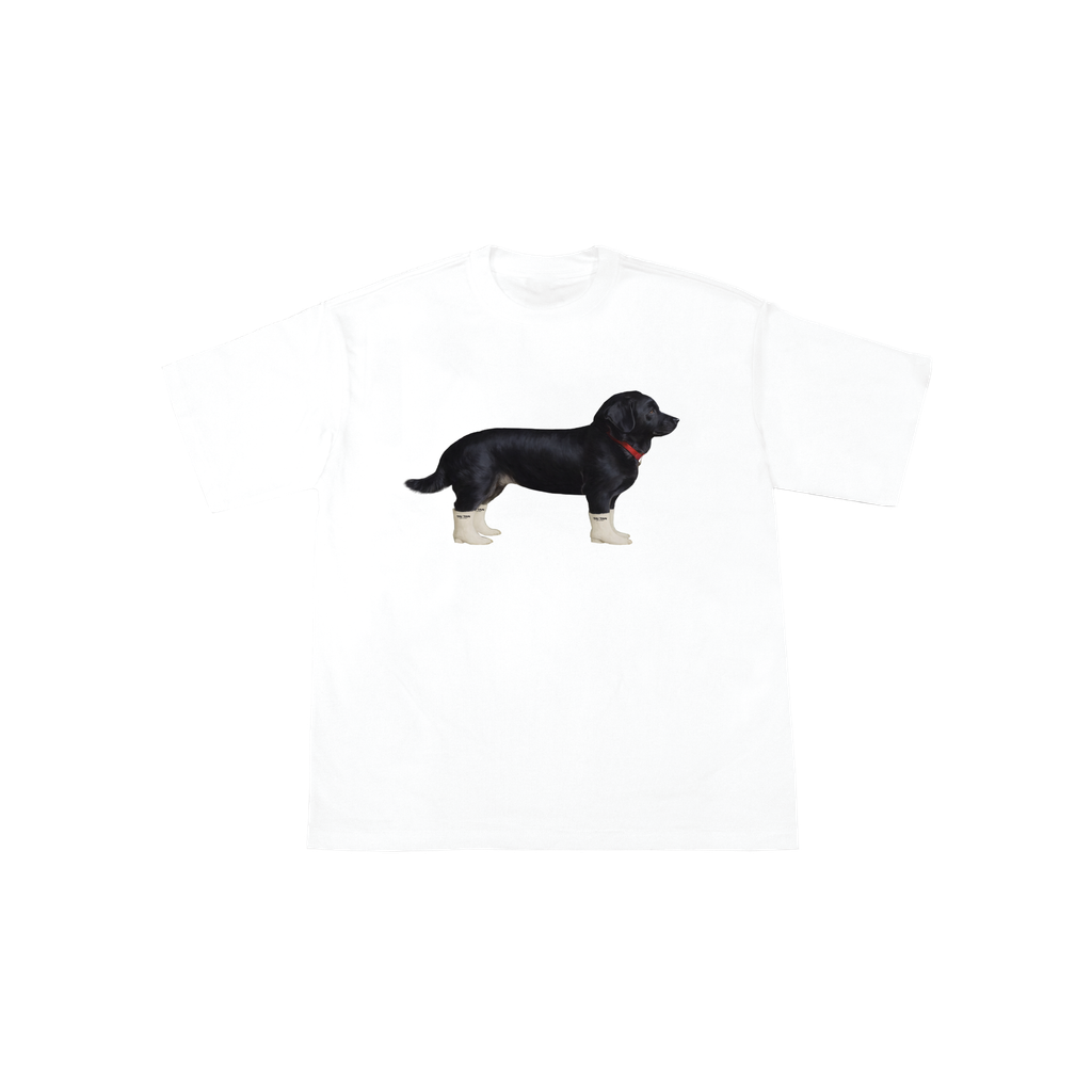 dog11-01