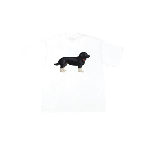dog11-01