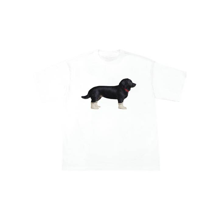 dog11-01