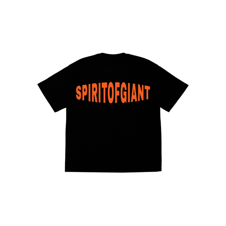 orange taitan-08