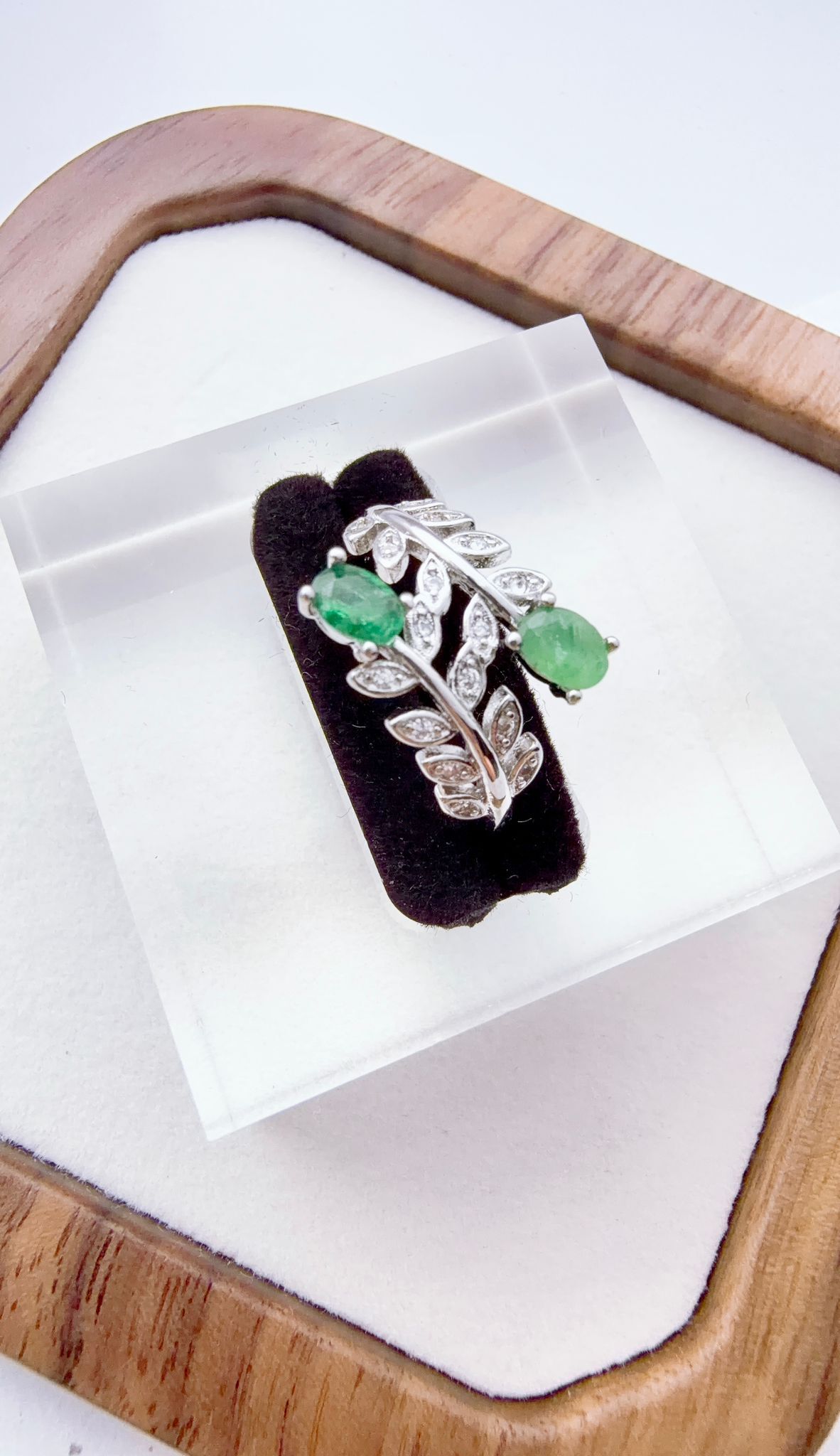 WhatsApp Image 2026-03-17 at 3.27.38 PM (3)