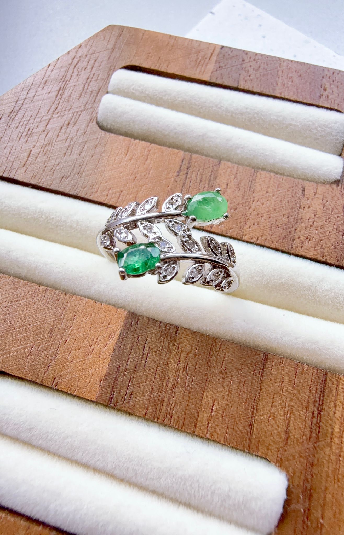 WhatsApp Image 2026-03-17 at 3.27.38 PM