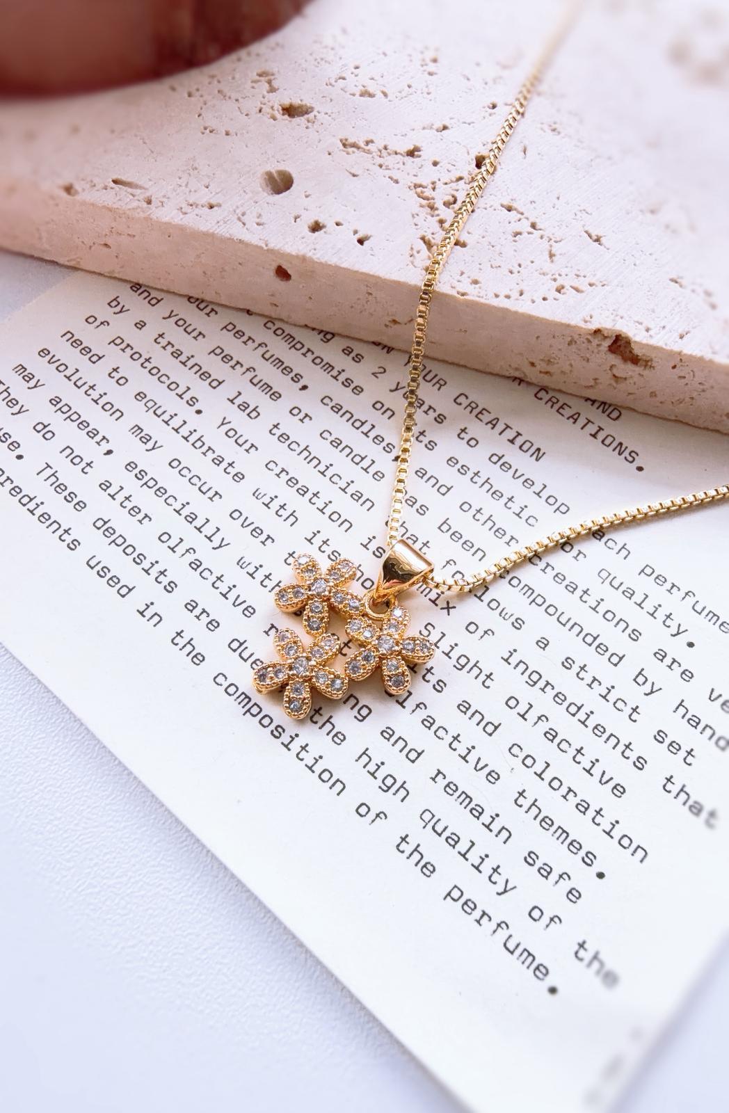 WhatsApp Image 2026-01-20 at 5.14.21 PM