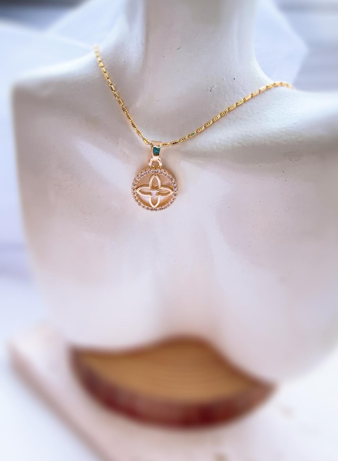 WhatsApp Image 2026-01-20 at 5.26.02 PM (1)