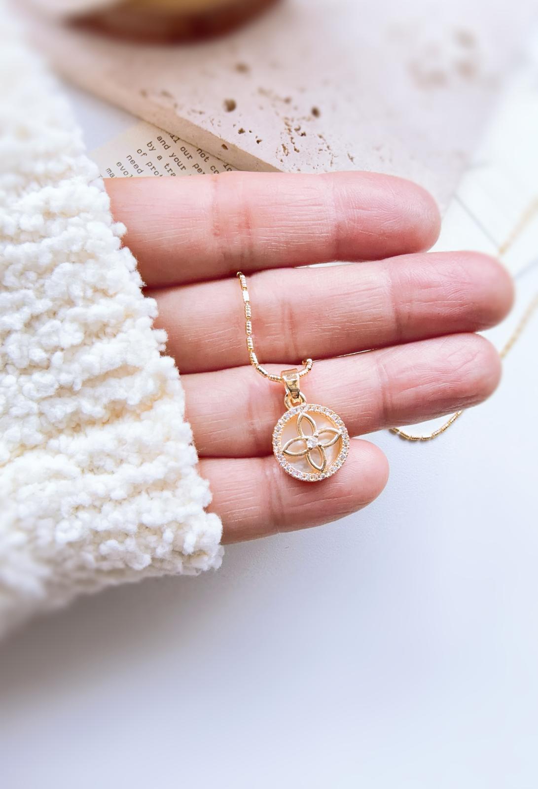 WhatsApp Image 2026-01-20 at 5.26.03 PM (2)