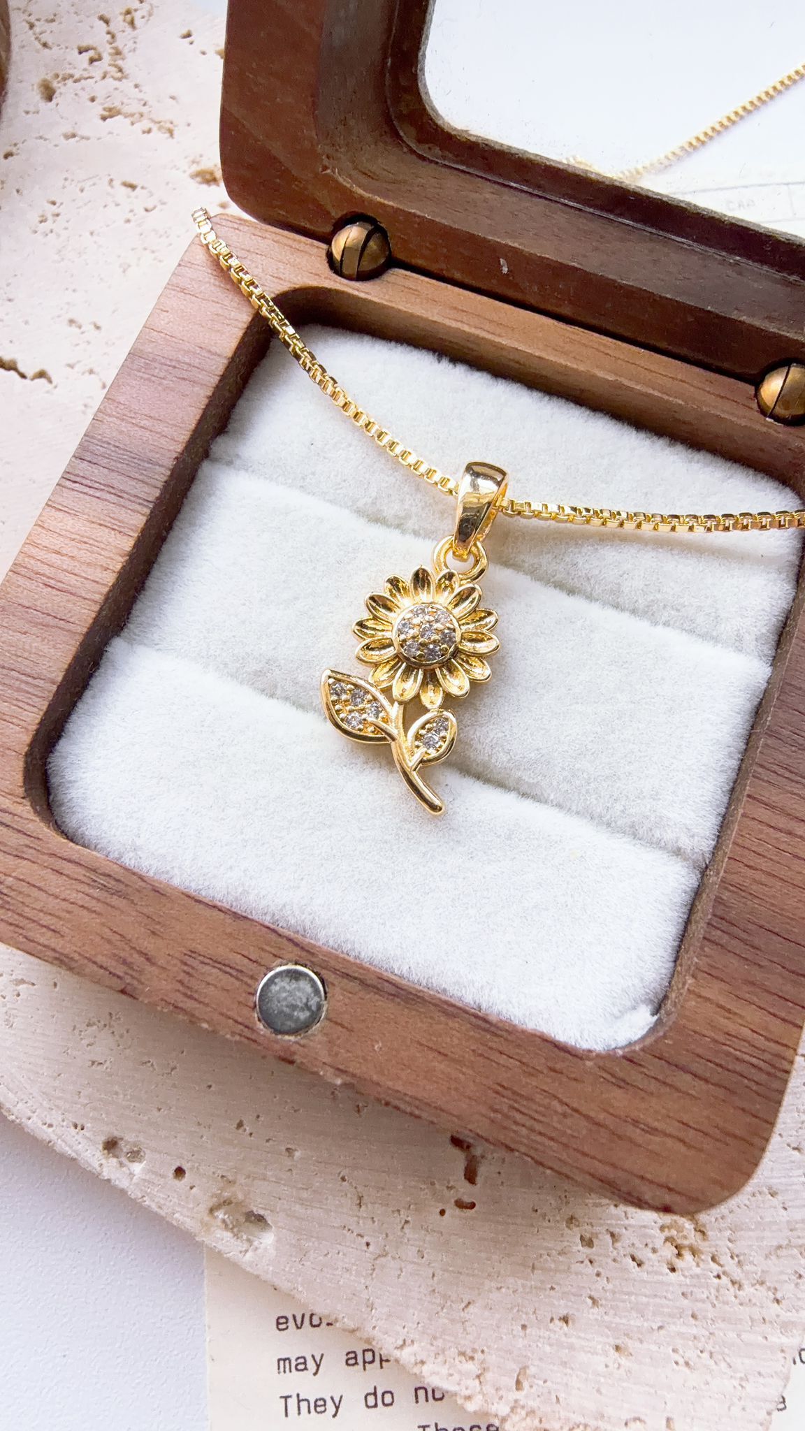 WhatsApp Image 2026-01-31 at 3.31.21 PM