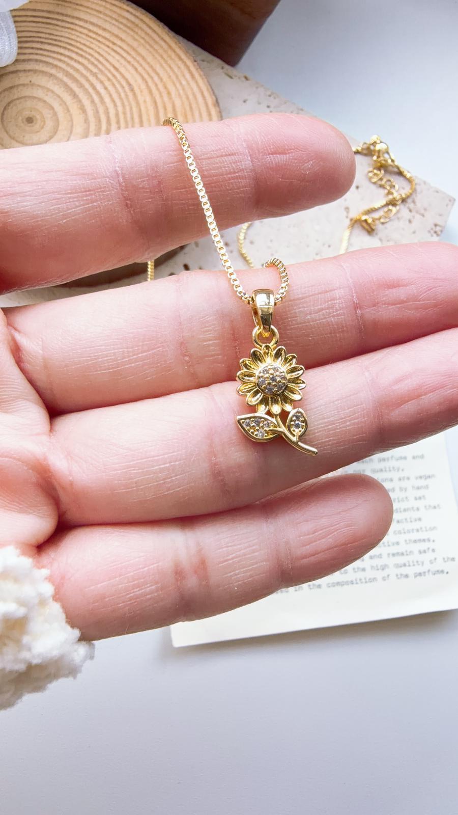 WhatsApp Image 2026-01-31 at 3.31.19 PM