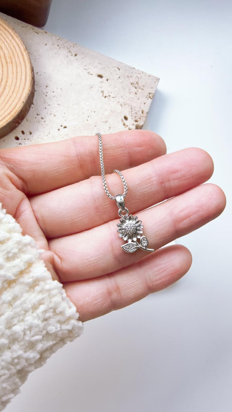 WhatsApp Image 2026-01-31 at 3.31.18 PM (2)