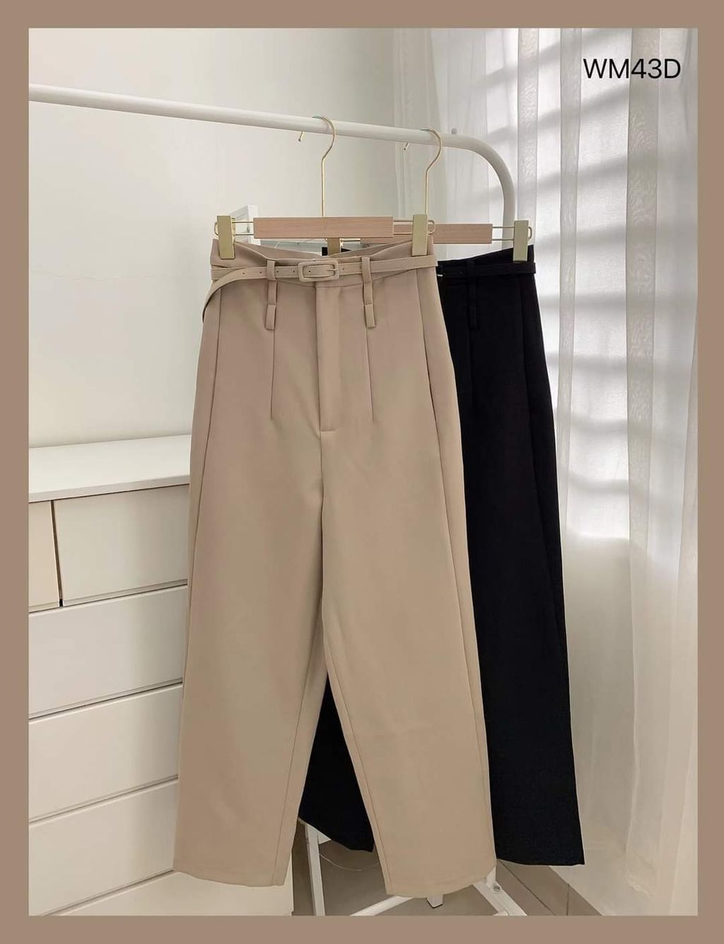 FB_IMG_1677064545647