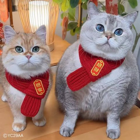 image_9238C211-6ED3-43F8-B6AF-FEC04C0F69C8_1761620984