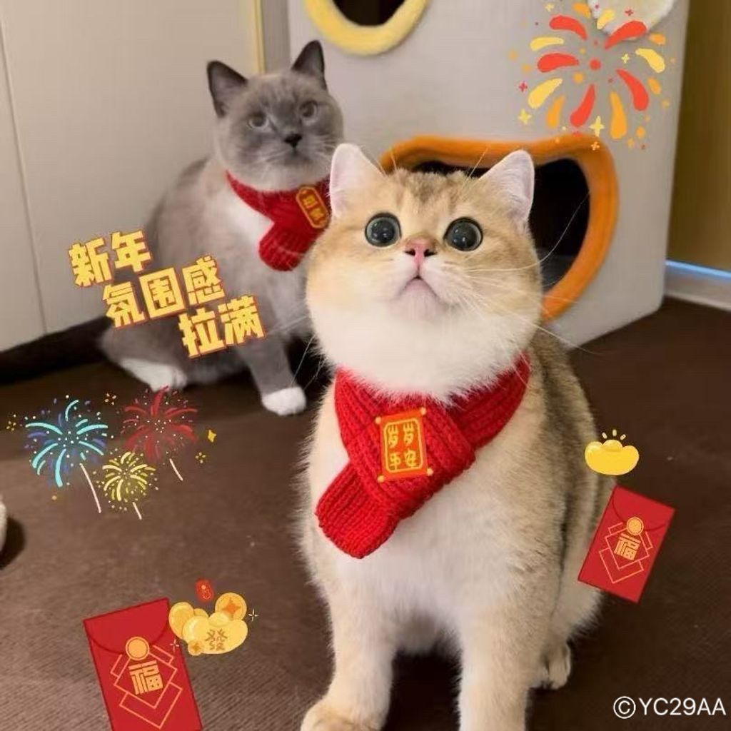 image_9A76E92A-DA16-46D5-A787-4DC1D6322A8C_1761620984