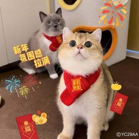 image_9A76E92A-DA16-46D5-A787-4DC1D6322A8C_1761620984