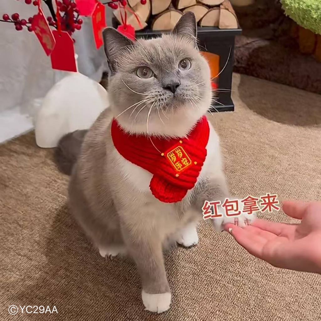 image_7D0C2375-179D-4423-8606-67ED632D1DF5_1761620984