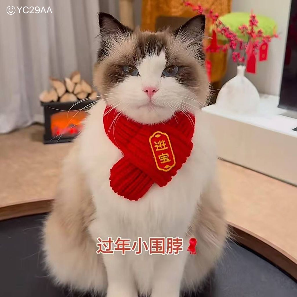 image_F2CDB27D-0297-4846-A733-D922856D6989_1761620984