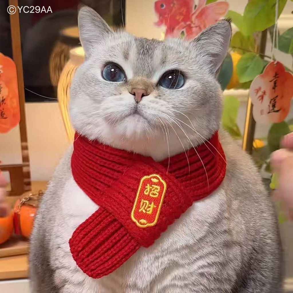 image_79215E47-94D6-49F5-8379-0374863437FF_1761620984