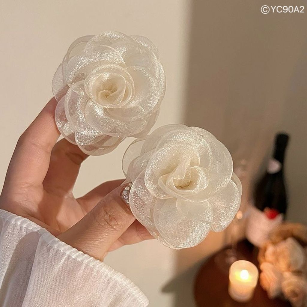 image_33F5631E-12D9-48F8-B090-052D44BCCC61_1761747876