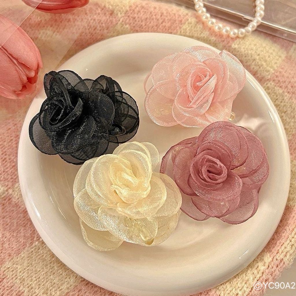 image_F246B24F-2BB7-4239-9C1F-0951AEFC98A4_1761747876