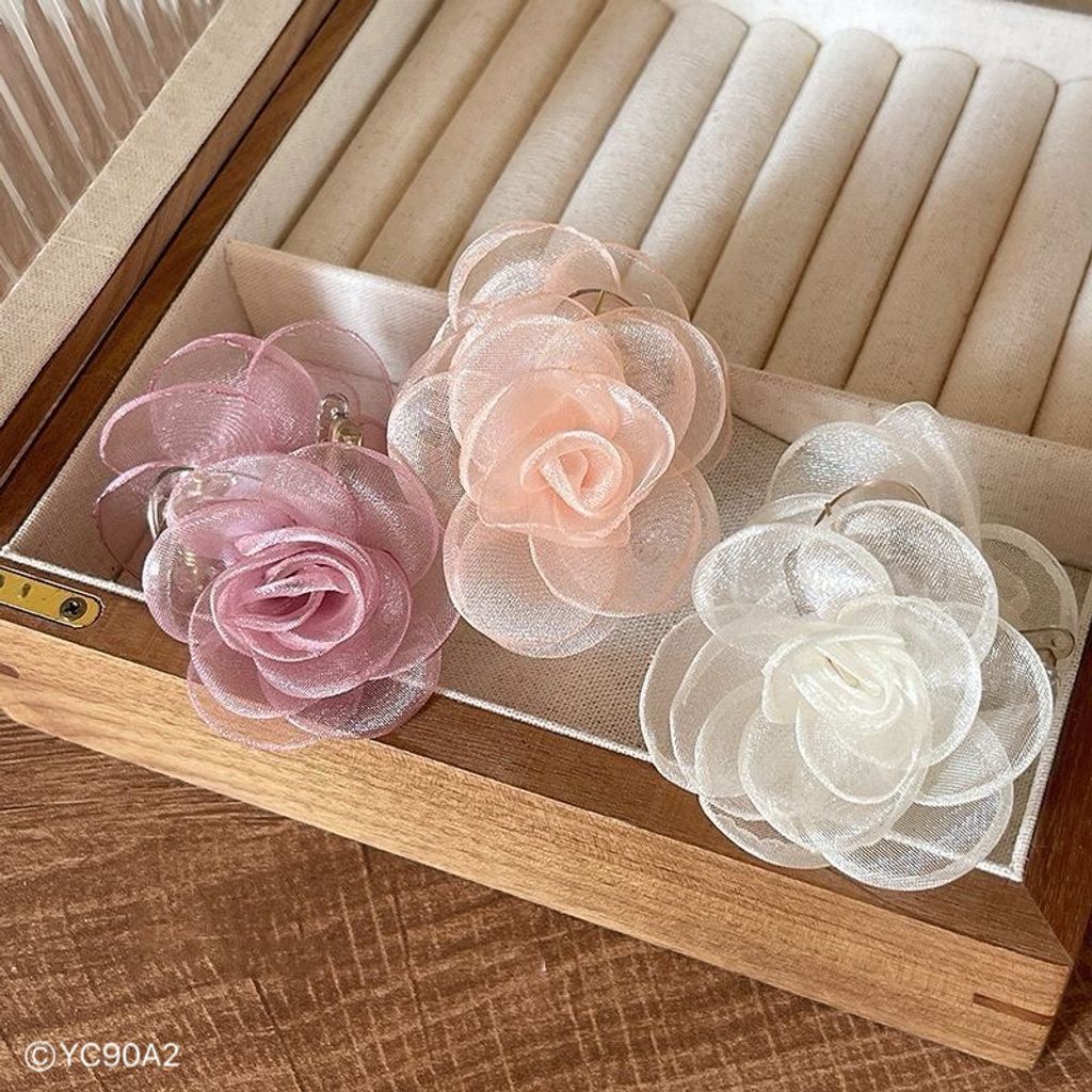 image_DDDCA9DE-768A-4C34-B752-448883D5E79D_1761747876