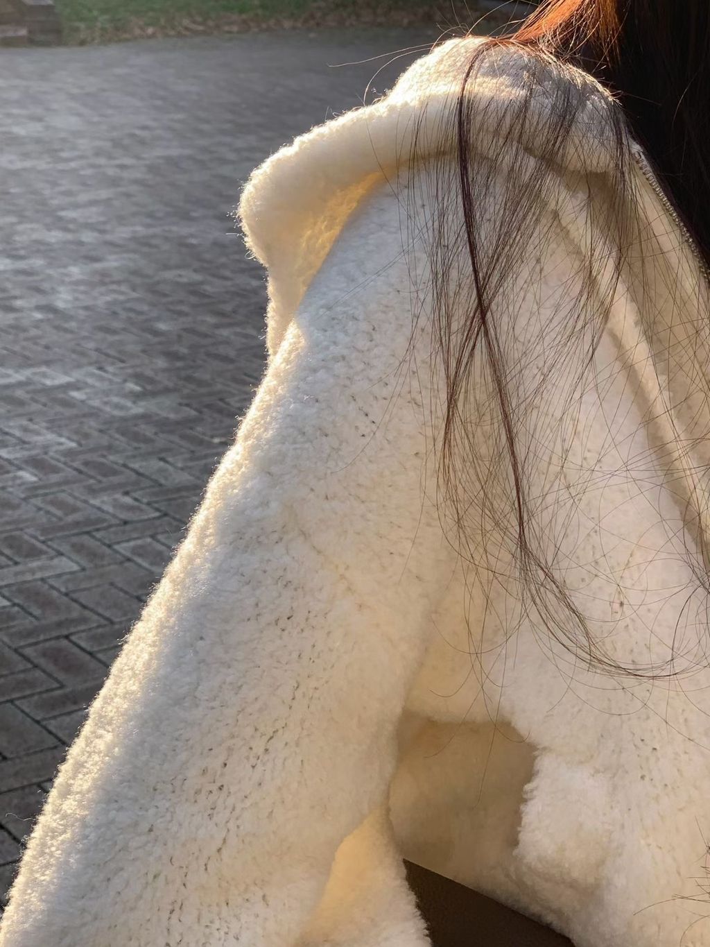 image_8387B15C-20DB-4931-BA54-1DB55BA3BA15_1762515425