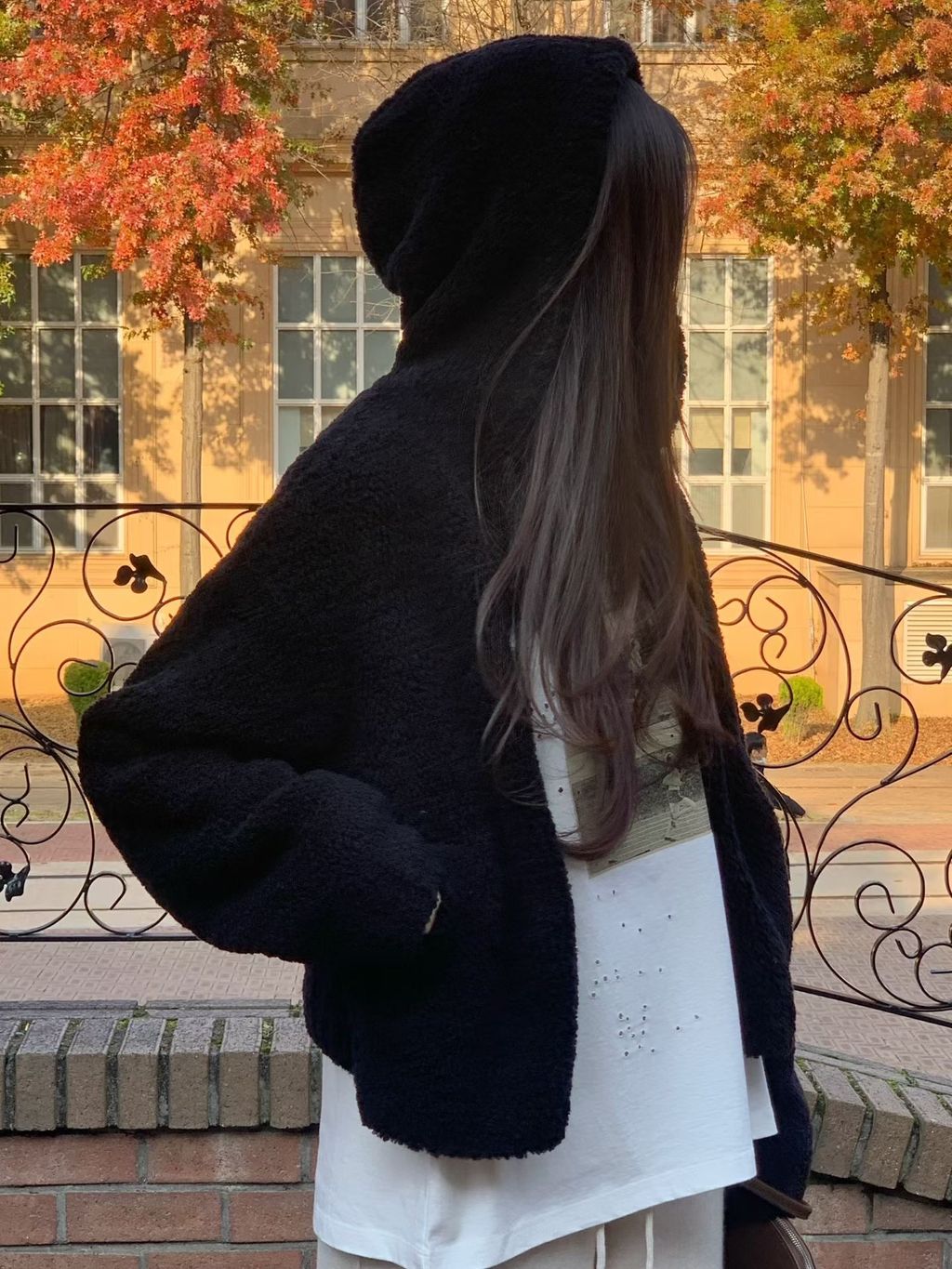 image_B008D586-0F05-4C17-9DF4-17B39988A486_1762515425