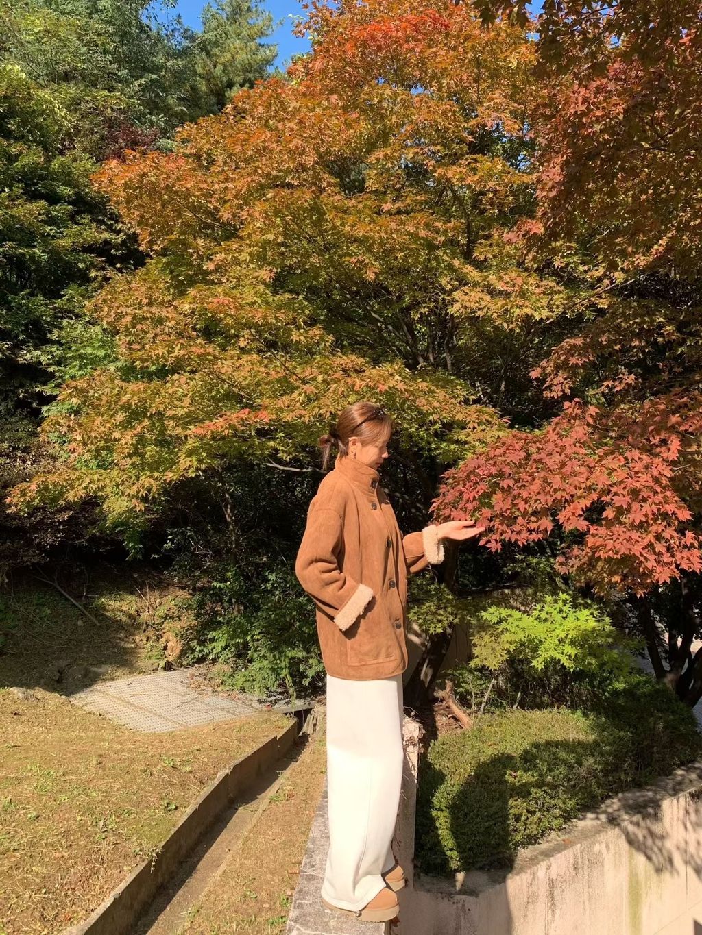 image_EF00912E-6AC2-4BB6-B817-AA48258EB0DC_1762516362