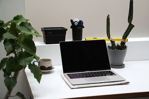 IMG_7779-1704703051355