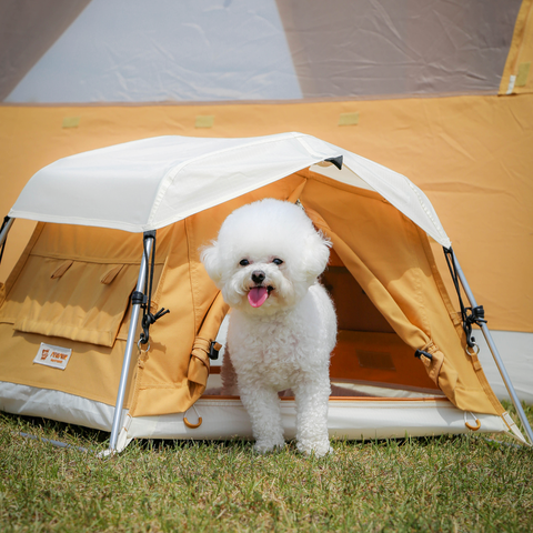 28587799331765985_752044192