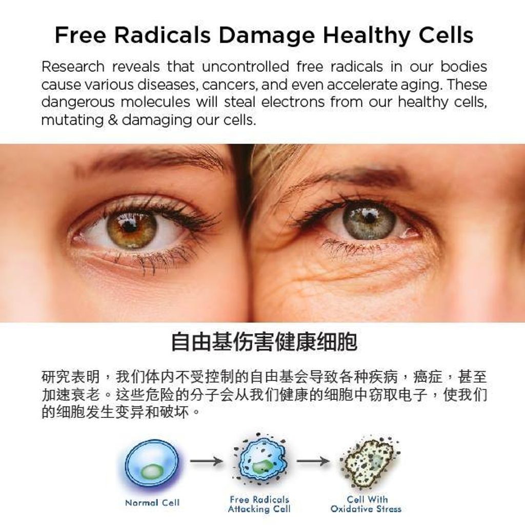 52458976_2252521781653611_2567965567663210496_n