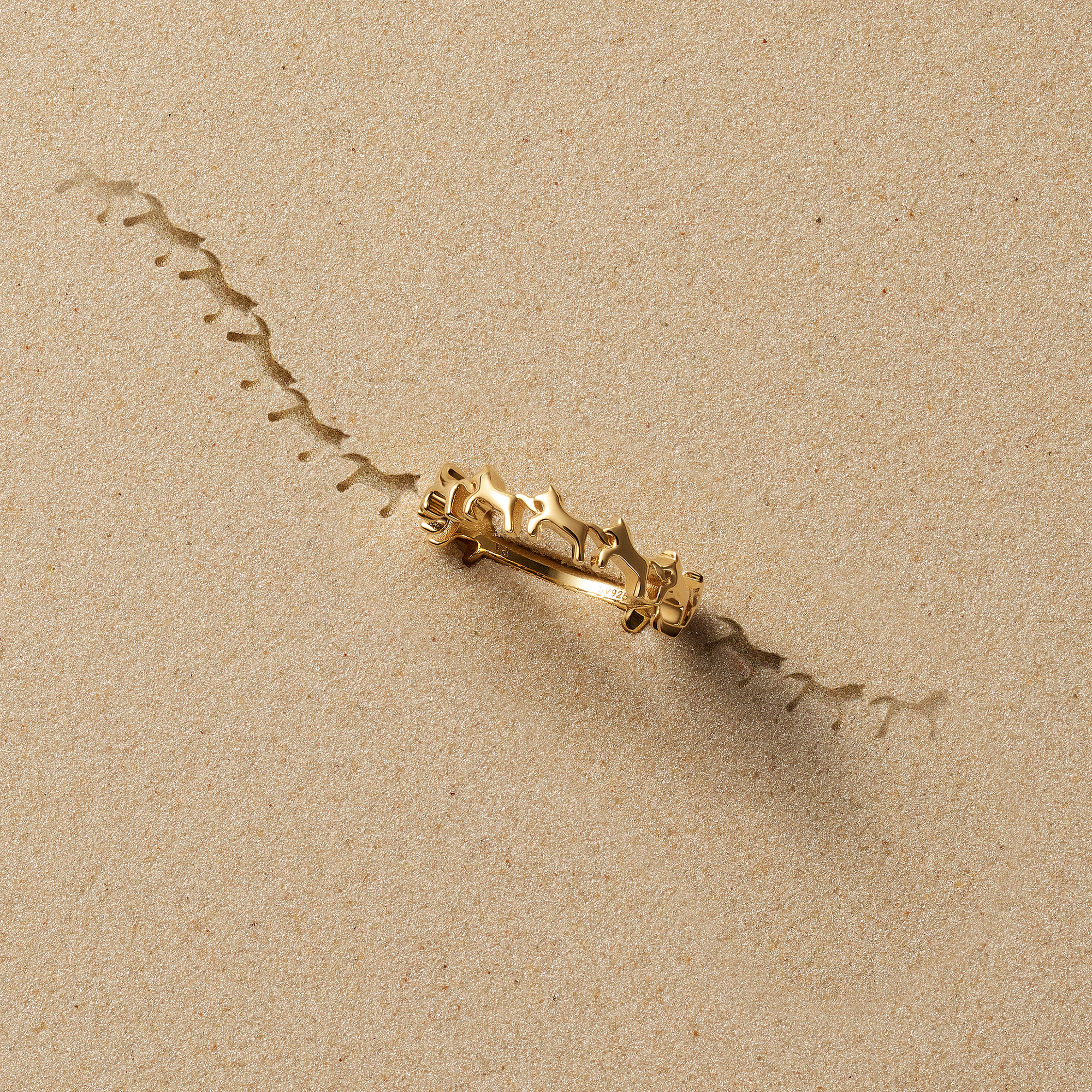 GS8R0197__SI_999_5_20251208111242