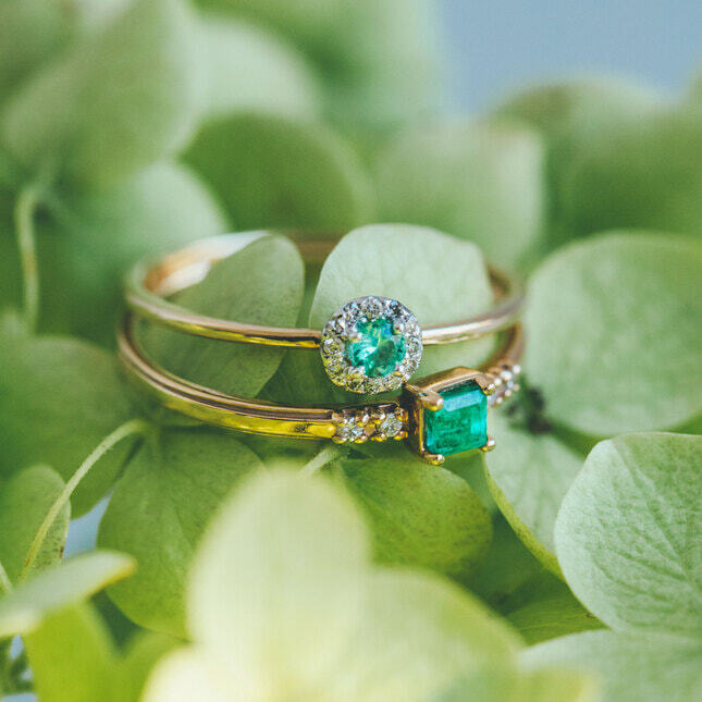 GJVR0268__EM_999_4_20230305110306_pm