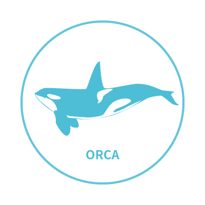 My Glück | 以海洋為主題的台灣設計師品牌 |  - 虎鯨系列