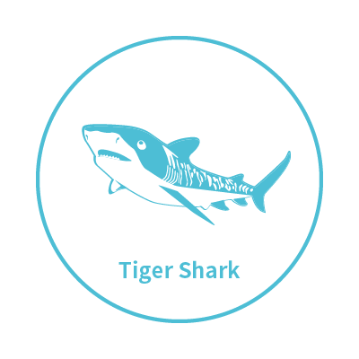 My Glück | 以海洋為主題的台灣設計師品牌 |  - 虎鯊系列