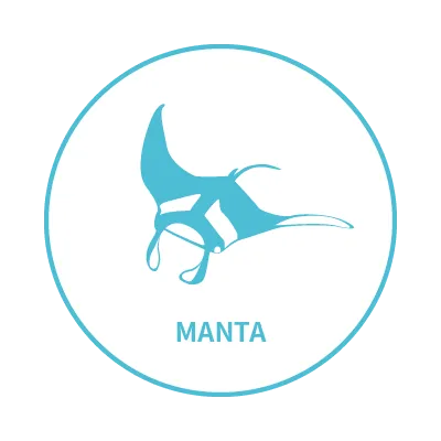 My Glück | 以海洋為主題的台灣設計師品牌 |  - 鬼蝠魟系列