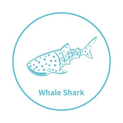 My Glück | 以海洋為主題的台灣設計師品牌 |  - 鯨鯊系列