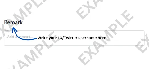 Write your IGTwitter username here (1)