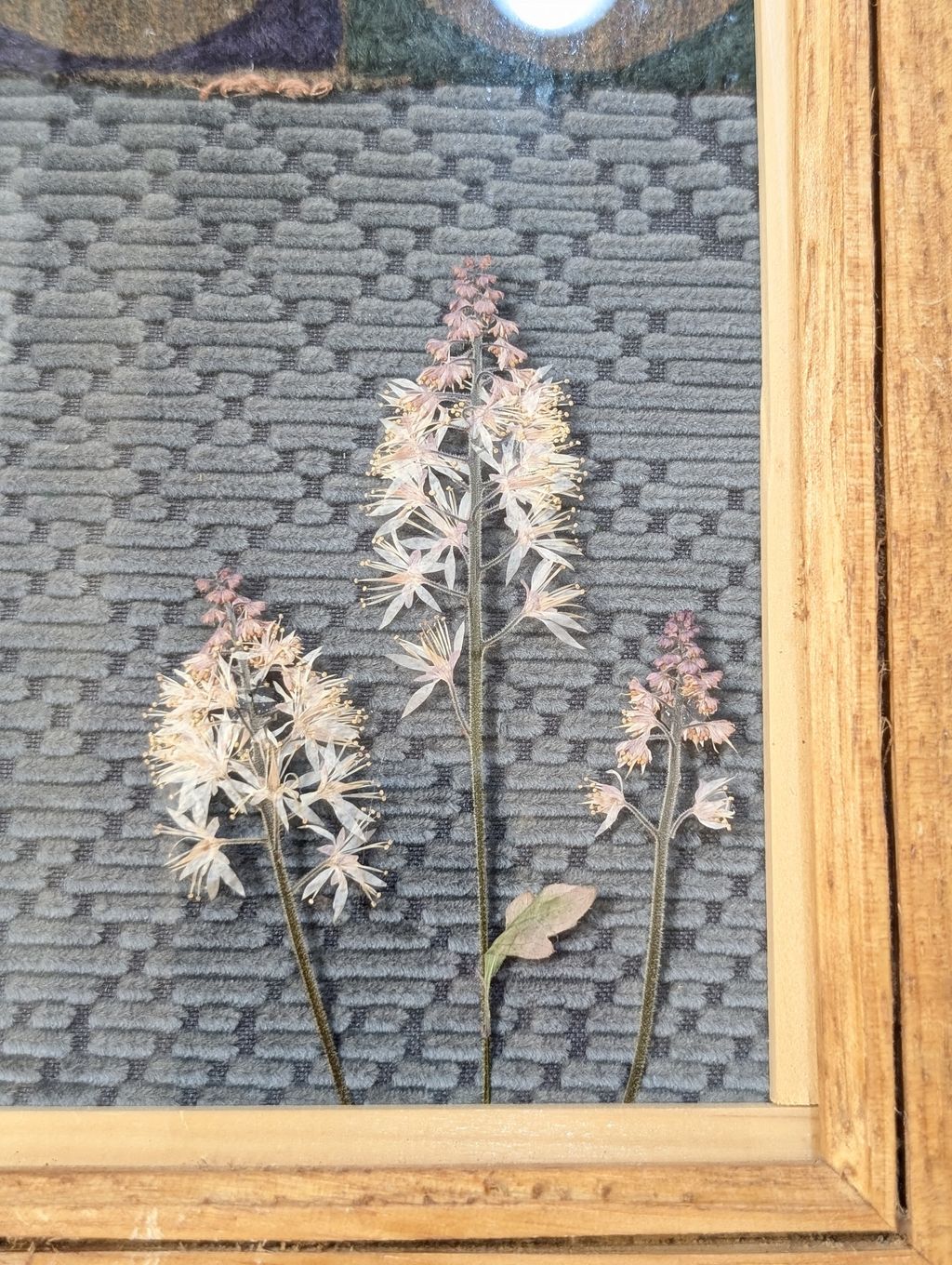 PXL_20260407_130041503.PORTRAIT.ORIGINAL