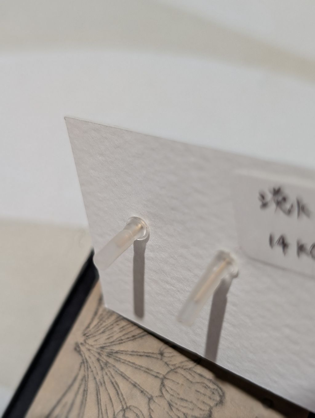 PXL_20260423_062112544.PORTRAIT